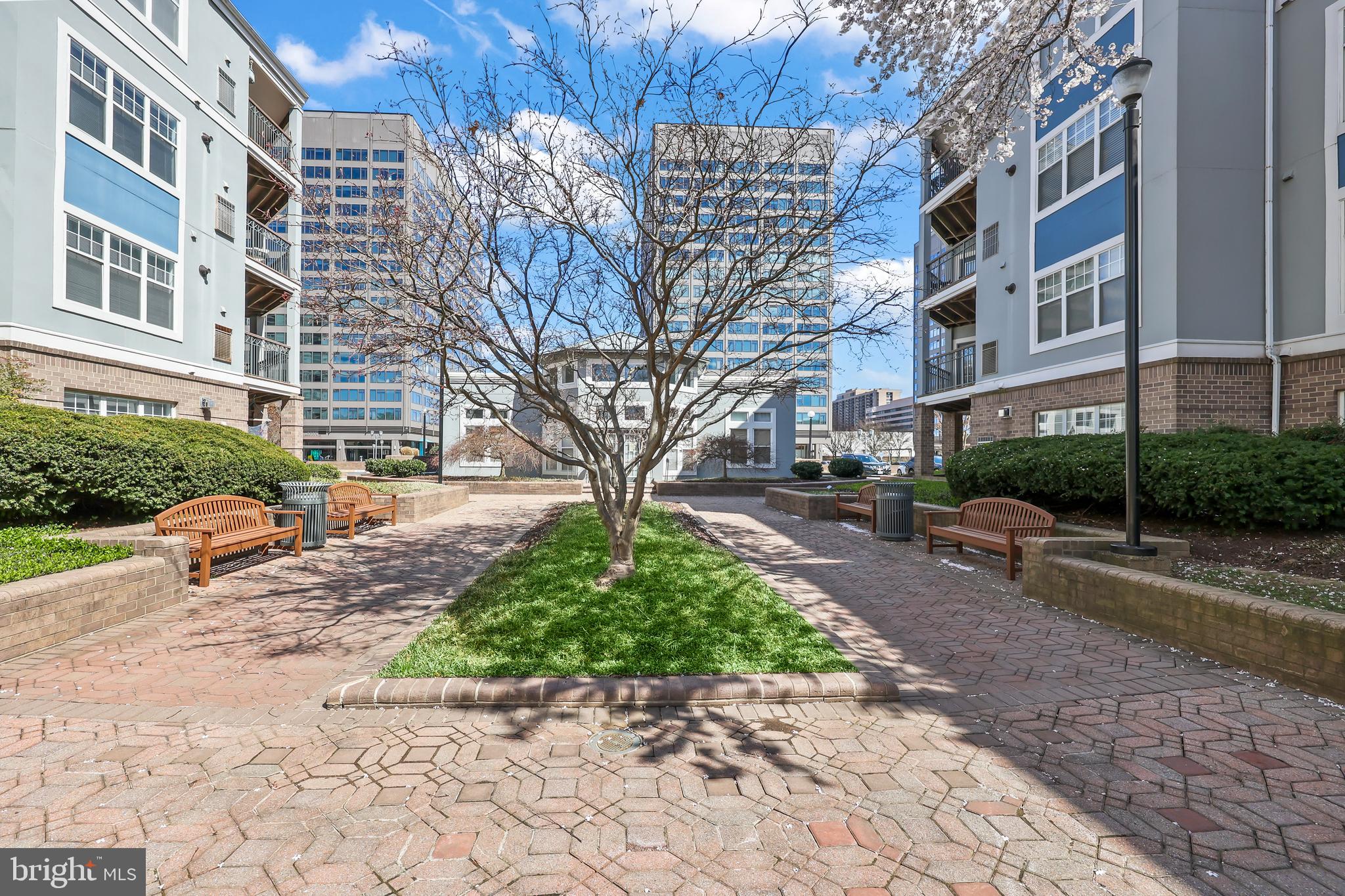 5563 Seminary Road, Unit 215 Falls Church, VA 22041 - Photo 23 of 38 Gallery Image 23