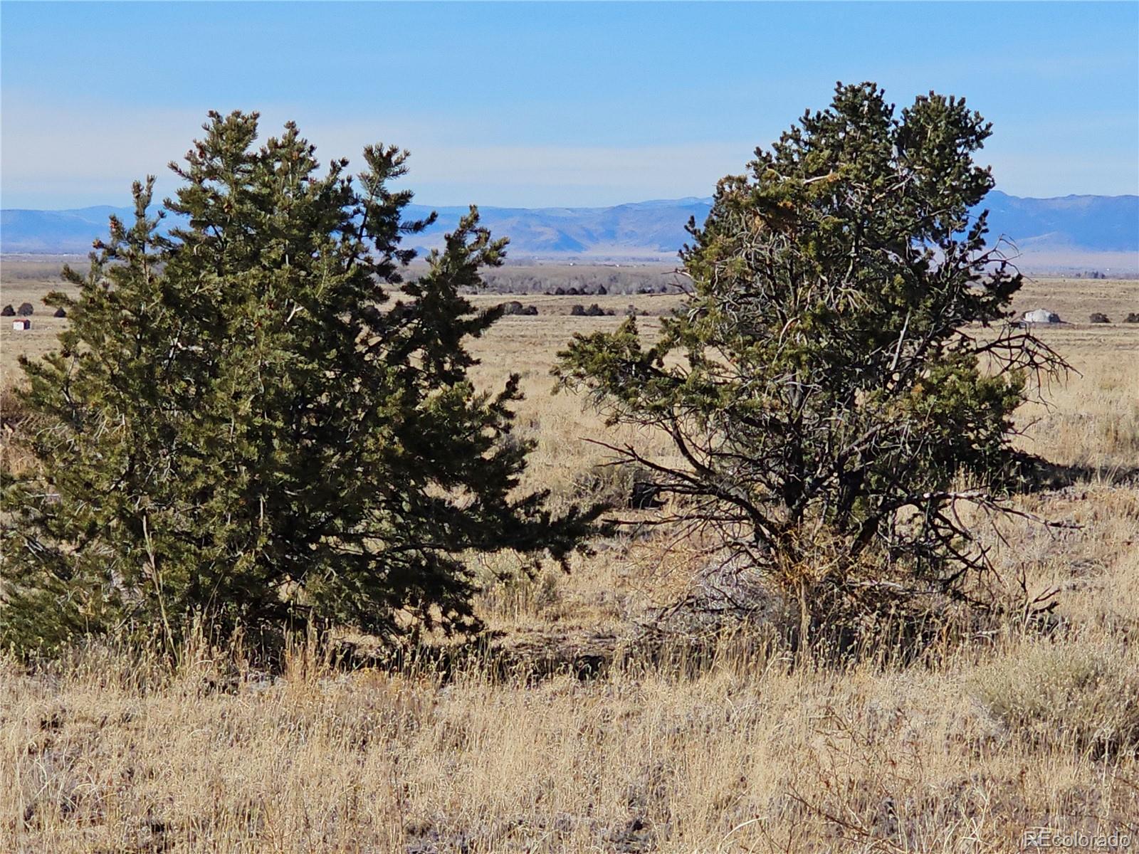 170 Wagon Wheel Road Crestone, CO 81131 - Photo 10 of 20 a view of a dry yard with trees in the background