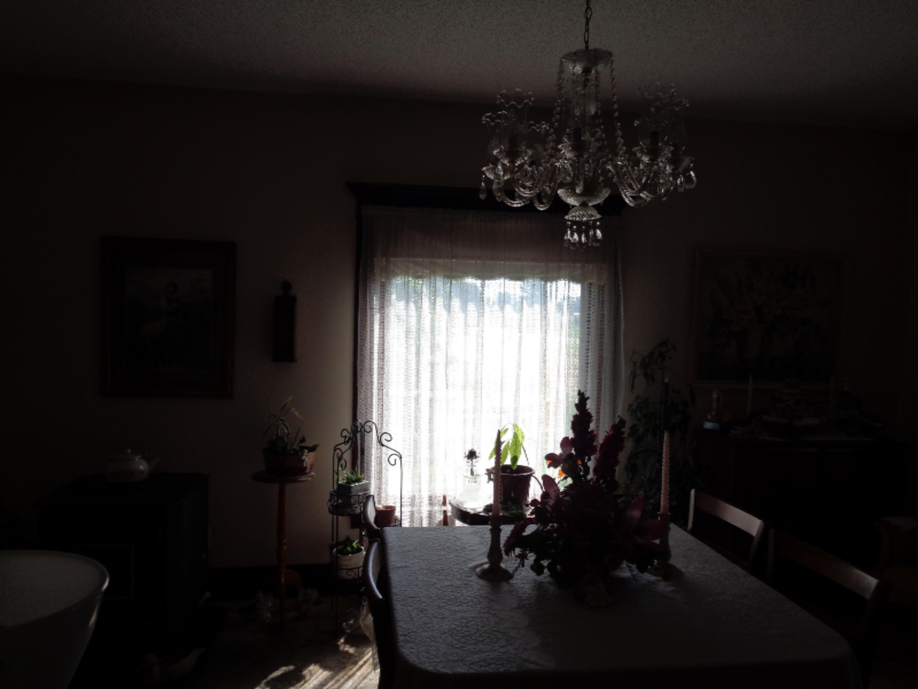 11660 Hartley Road Waldron, MI 49288 - Photo 9 of 19 DSC05086 007