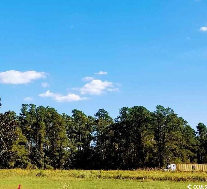 701 NORTH Loris Sc 29569 Loris, SC 29569 - Photo 8 of 8 Not applicable space