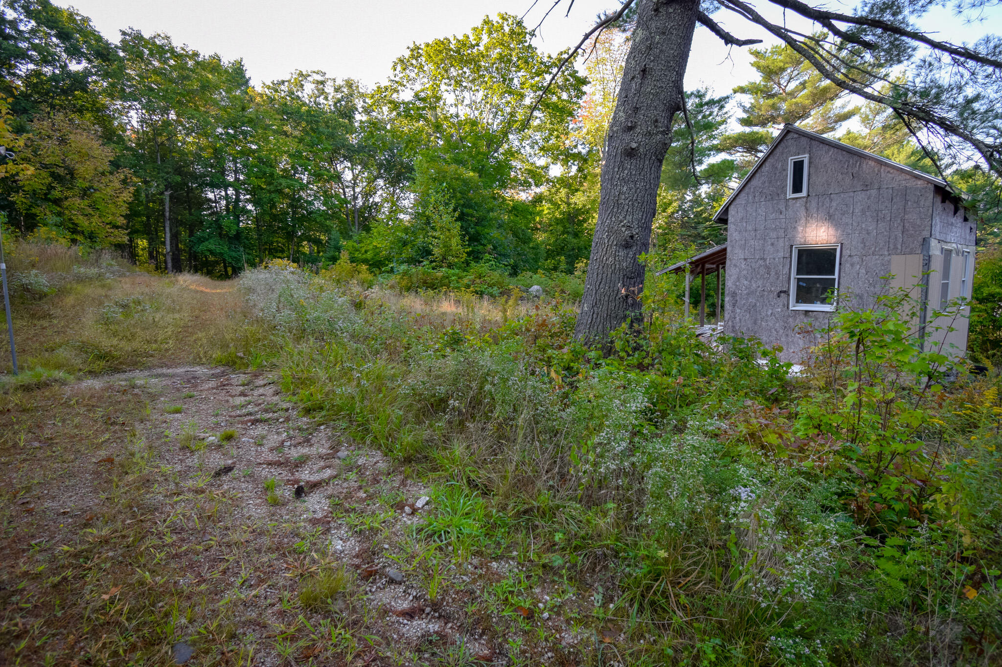 1739 River Road Bucksport, ME 04416 - Photo 65 of 69 DSC_1465