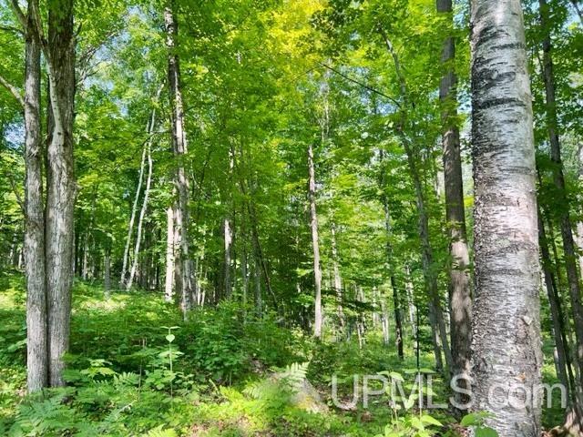 T-wi Birch Hill Road Amberg, WI 54102 - Photo 20 of 21