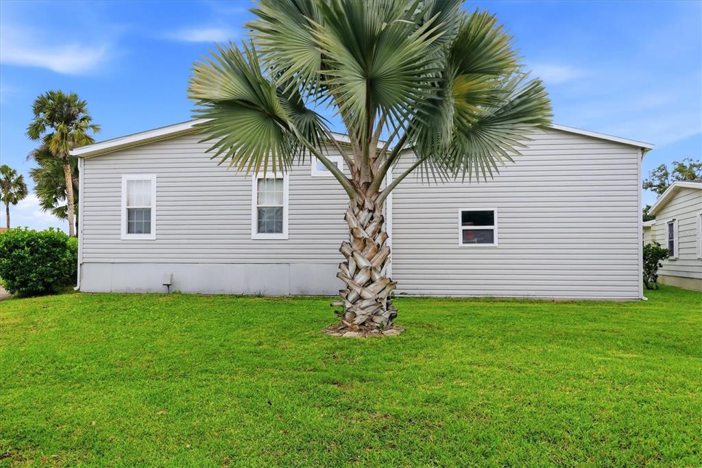 1 Meadow Circle Ellenton, FL 34222 - Photo 30 of 43 a palm tree sitting in front of a house with a big yard