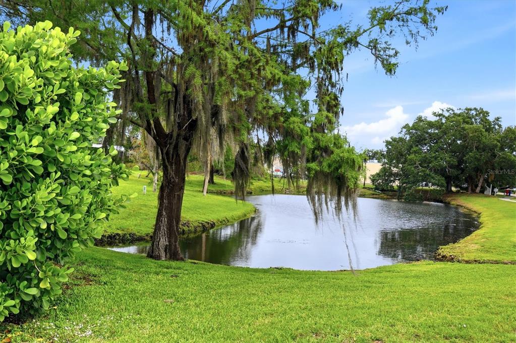 1 Meadow Circle Ellenton, FL 34222 - Photo 31 of 43 a view of a backyard
