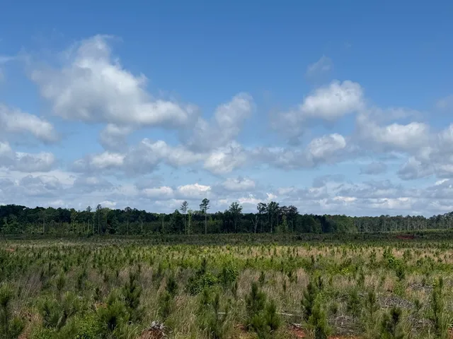 $307,800 | 300 Hwy 378 Edgefield Sc 29824, McCormick, SC 29835