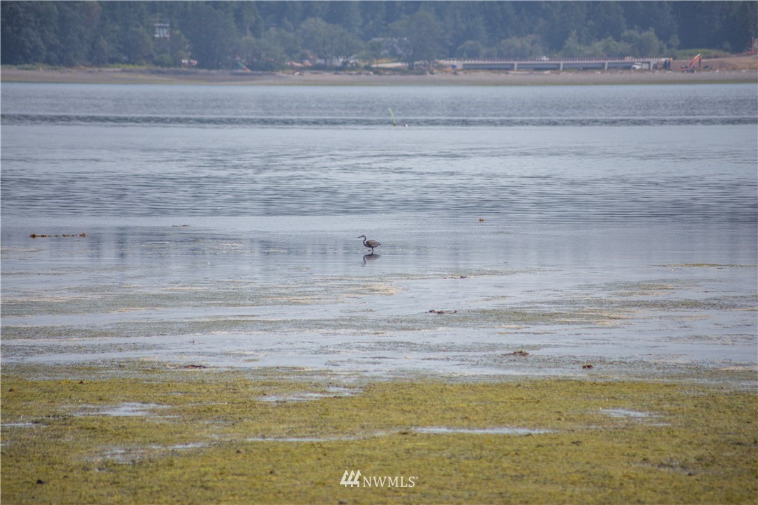 101 Old Oak Bay Road Port Hadlock, WA 98339 - Photo 13 of 30 Gallery Image 13