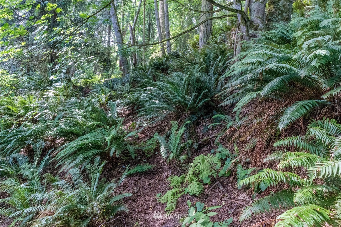 101 Old Oak Bay Road Port Hadlock, WA 98339 - Photo 16 of 30 Gallery Image 16