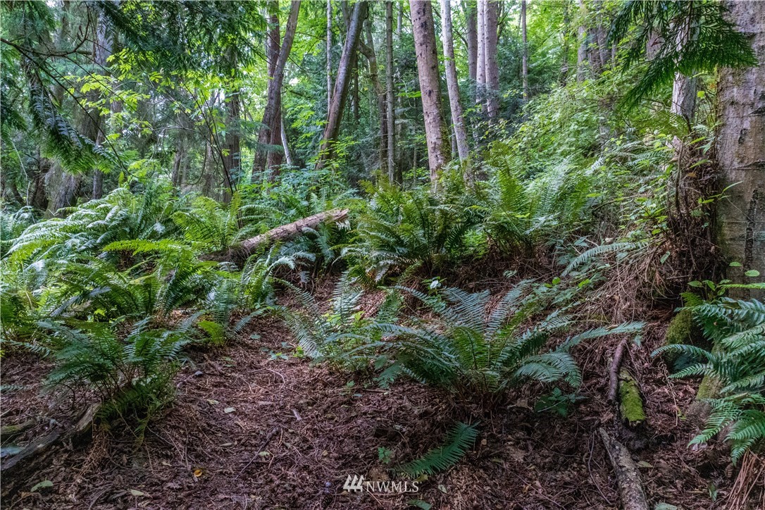 101 Old Oak Bay Road Port Hadlock, WA 98339 - Photo 17 of 30 Gallery Image 17