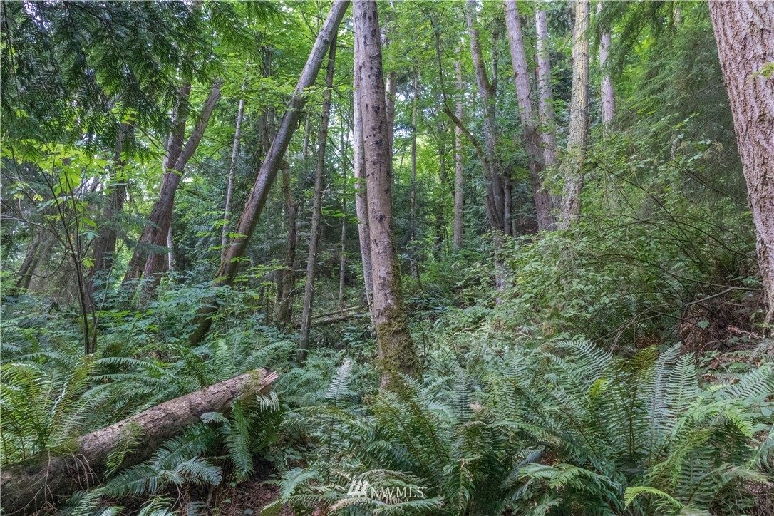 101 Old Oak Bay Road Port Hadlock, WA 98339 - Photo 19 of 30 Gallery Image 19