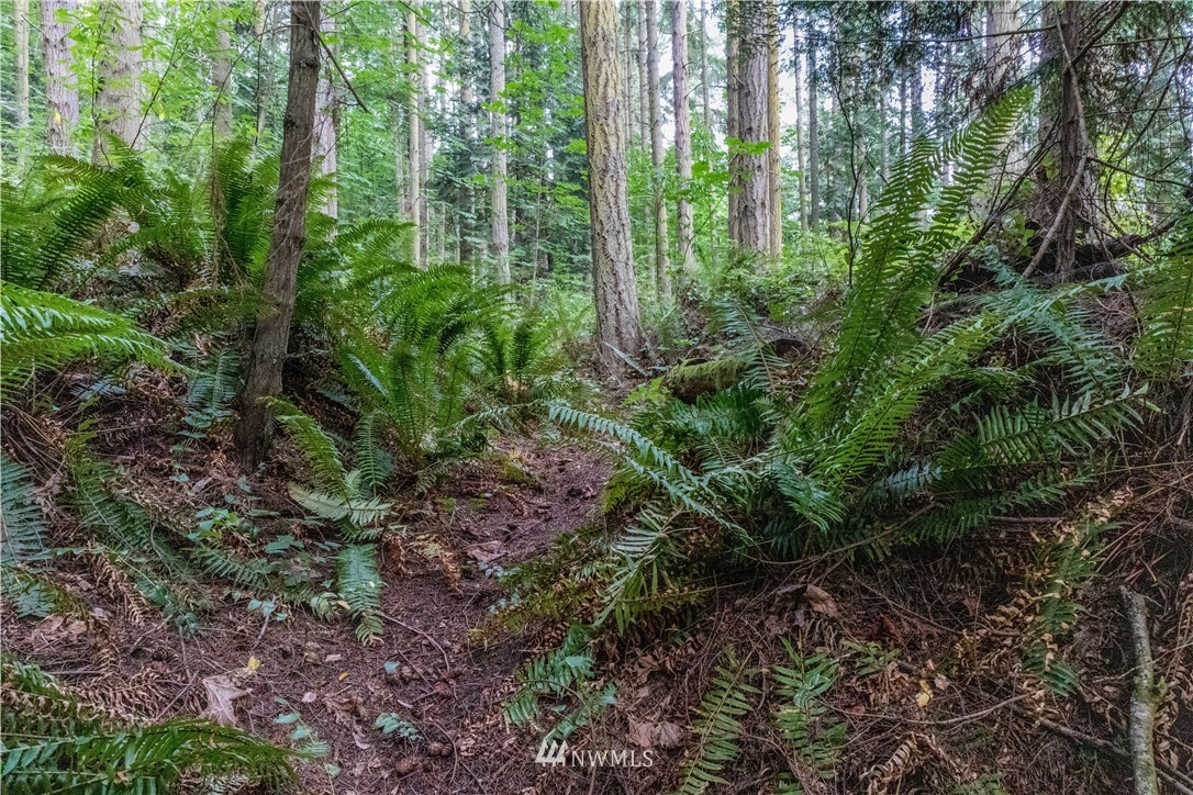 101 Old Oak Bay Road Port Hadlock, WA 98339 - Photo 22 of 30 Gallery Image 22