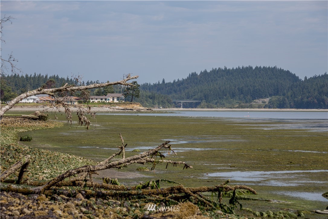 101 Old Oak Bay Road Port Hadlock, WA 98339 - Photo 9 of 30 Gallery Image 9
