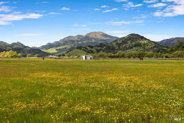 a view of an ocean and a mountain