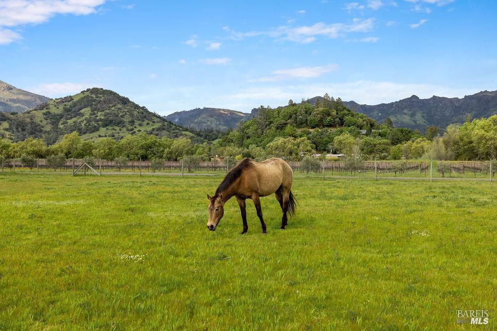 3105 Bennett Lane Calistoga, CA 94515 - Photo 6 of 7 a view of yard with mountain view