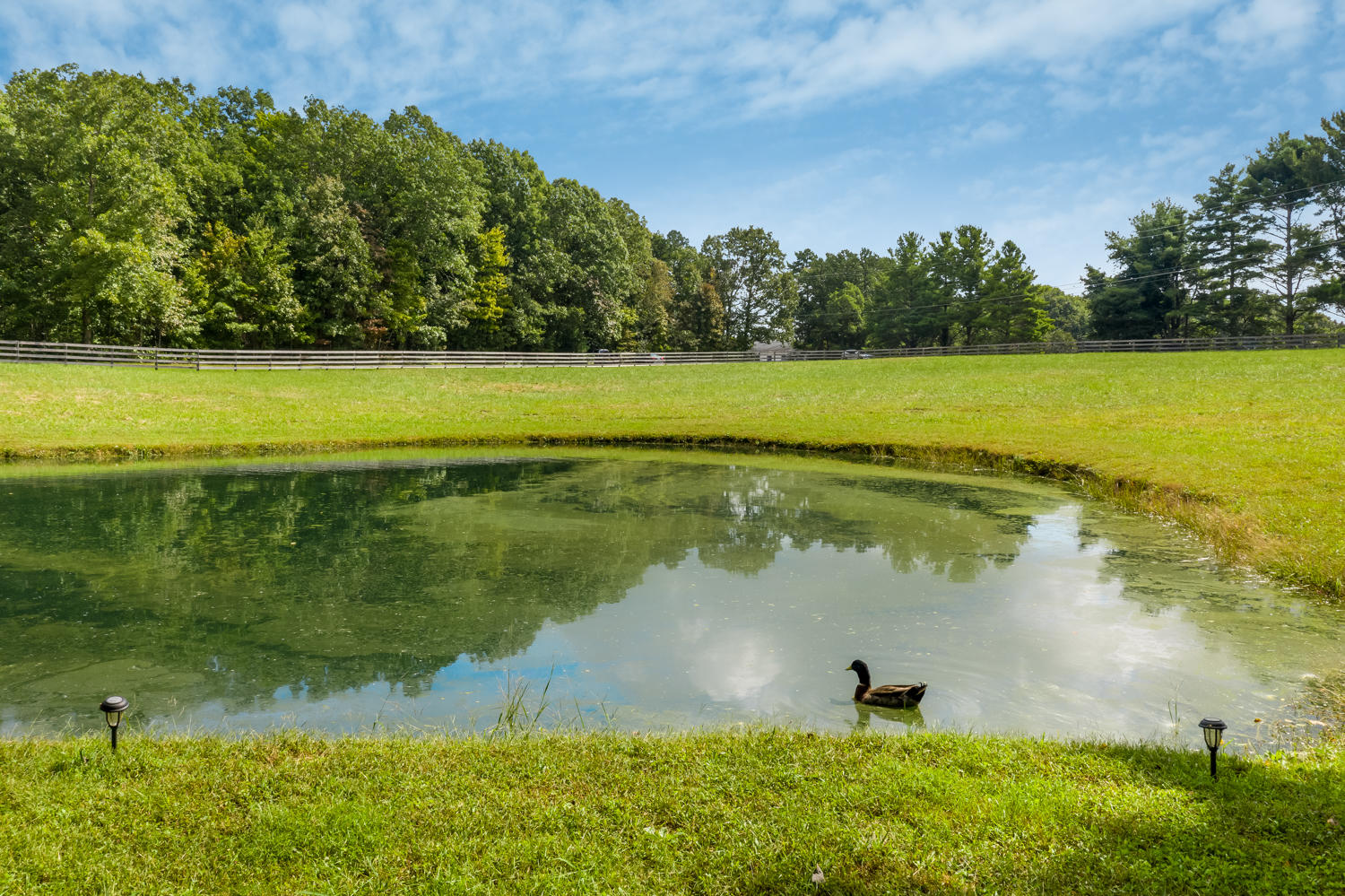 2023 Corral Road, Unit 1 Signal Mountain, TN 37377 - Photo 13 of 52 2023_Corral_Rd_13