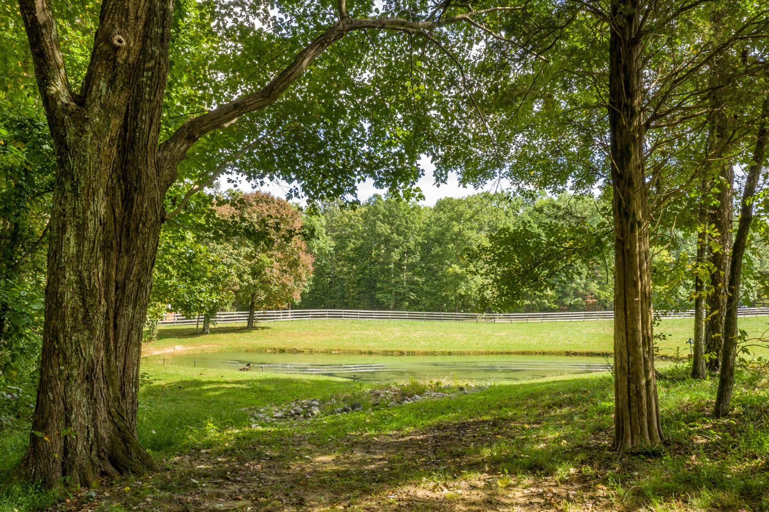 2023 Corral Road, Unit 1 Signal Mountain, TN 37377 - Photo 18 of 52 2023_Corral_Rd_18