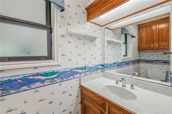 a view of backyard with small plants and large trees