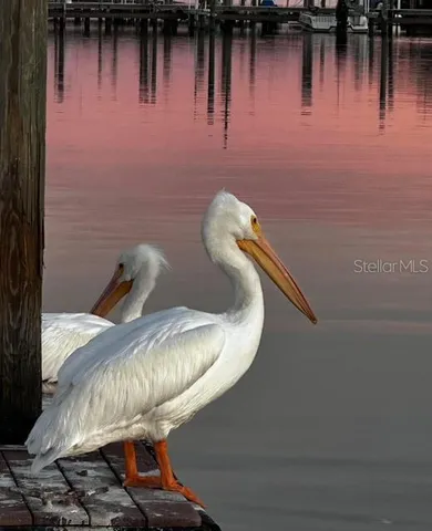 $110,000 | 10315 Cortez Road West, Unit 347, Bradenton, FL 34210