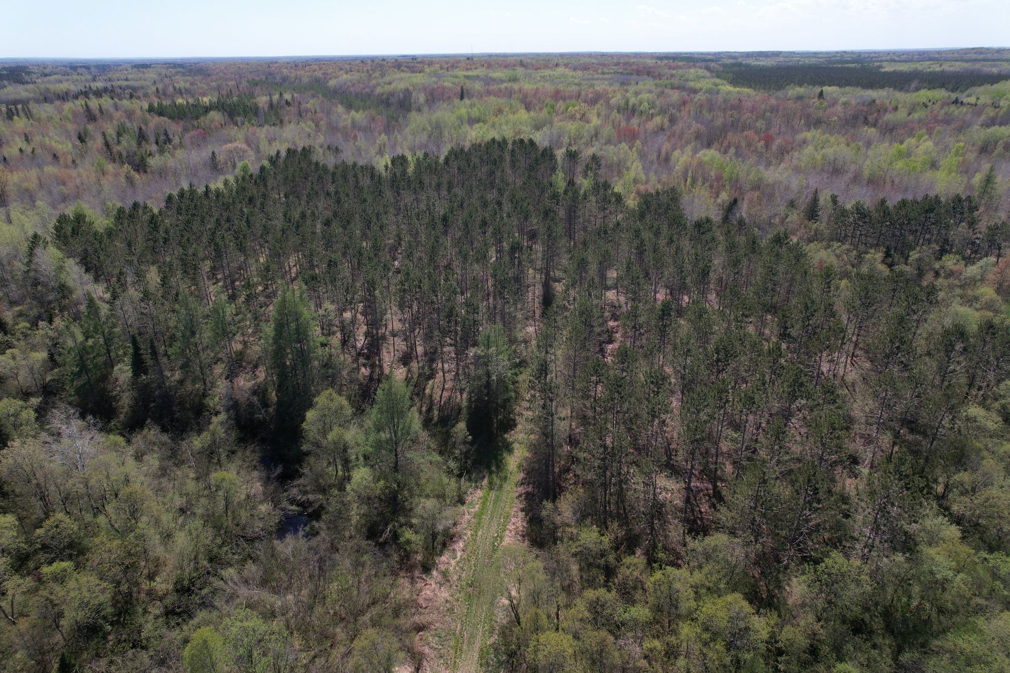 Off Hay Creek Road Prentice, WI 54556 - Photo 37 of 44
