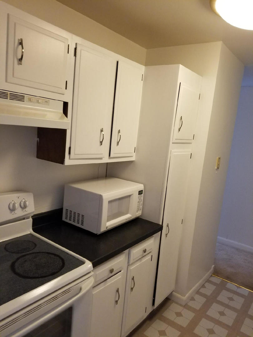 6171 North Sheridan Road, Unit 604 Chicago, IL 60660 - Photo 4 of 16
