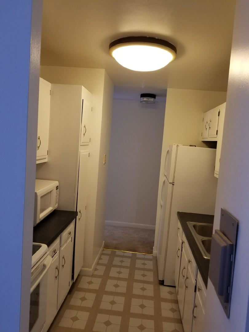 6171 North Sheridan Road, Unit 604 Chicago, IL 60660 - Photo 7 of 16