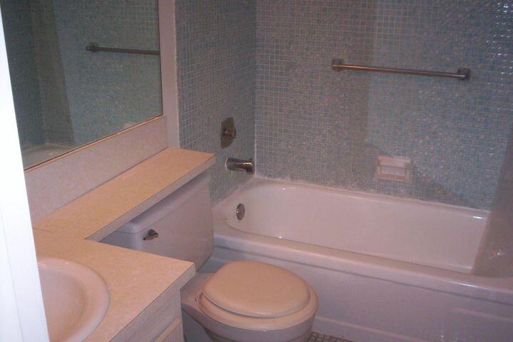 175 Fanshaw East, Unit 175 Boca Raton, FL 33434 - Photo 10 of 25 Clean Tub Shower Combo