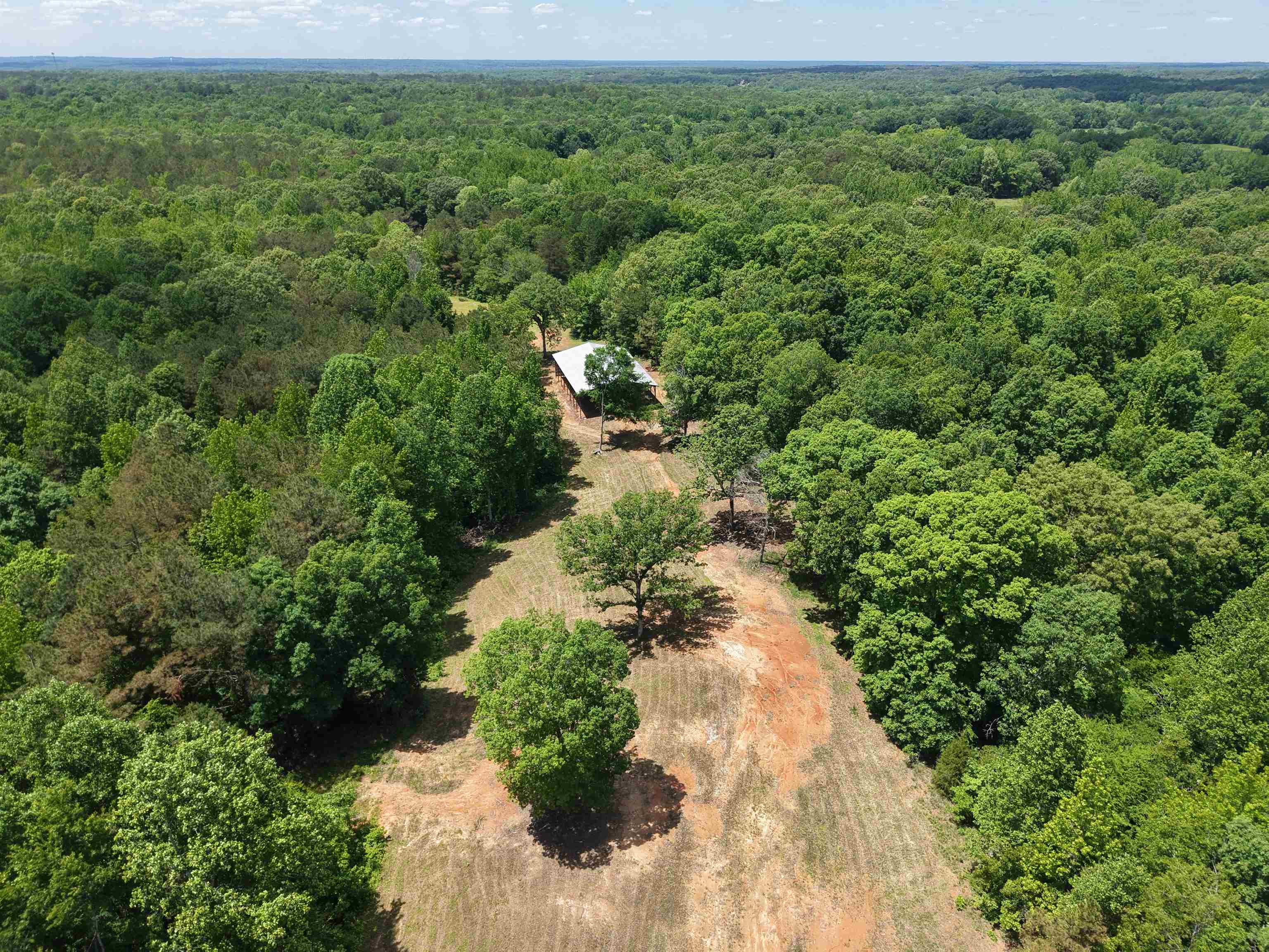 3360 Ebenezer Road Toone, TN 38381 - Photo 16 of 40