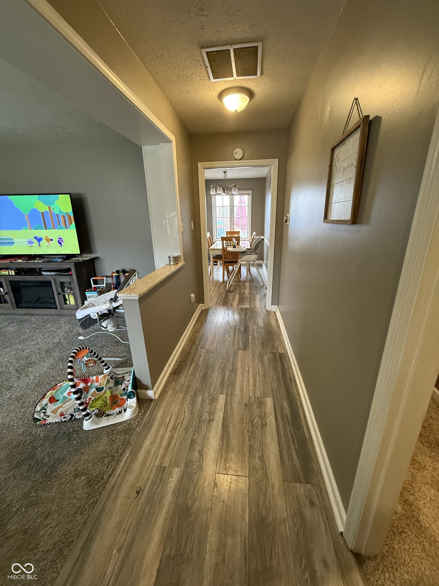 313 West 5th Street Lapel, IN 46051 - Photo 4 of 18