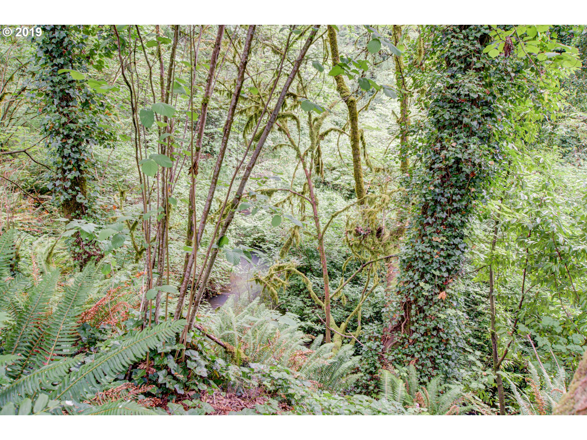 4405 Southwest Halcyon Road Tualatin, OR 97062 - Photo 26 of 32 Creek