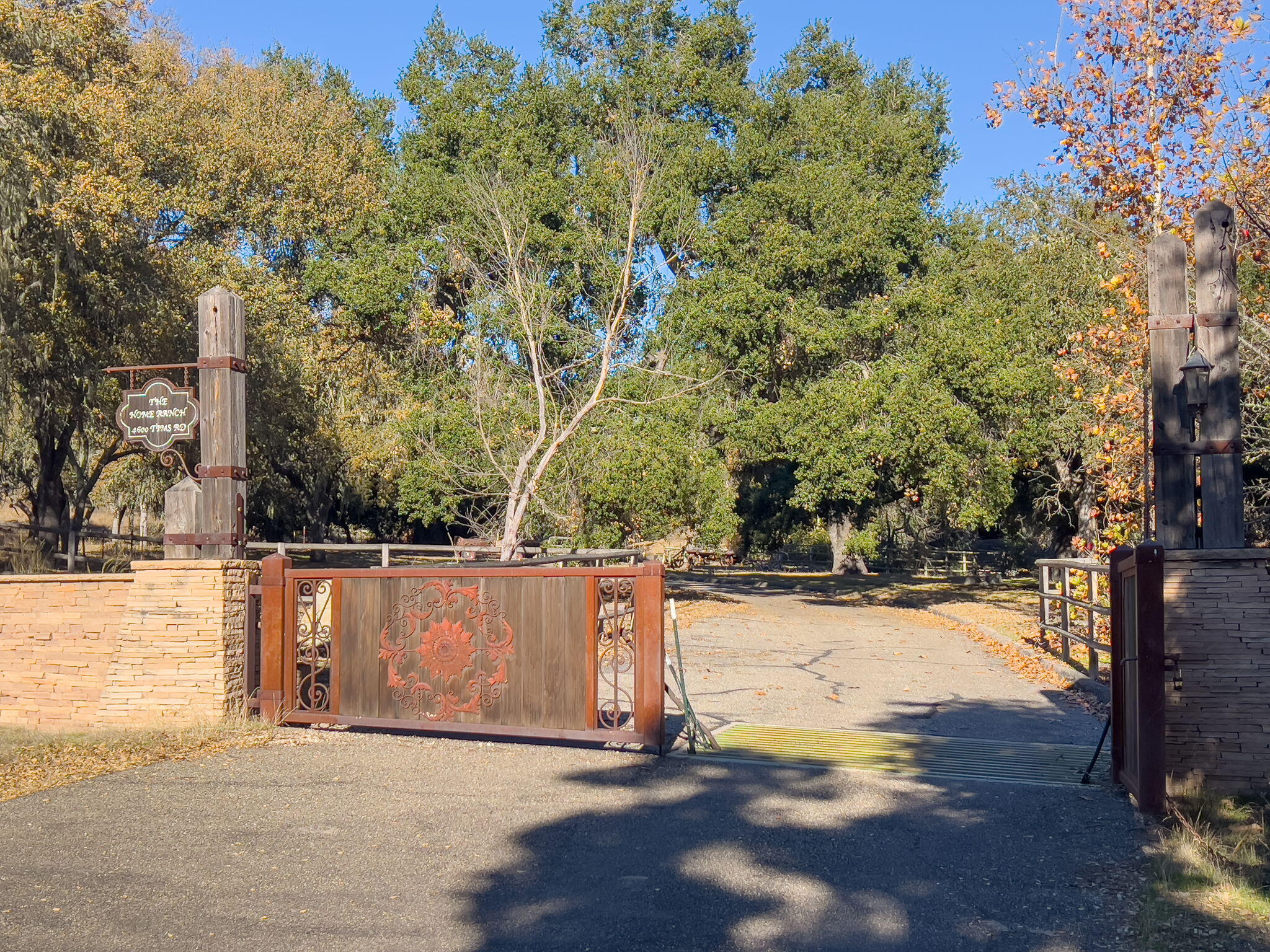 4600 Tim's Road Santa Ynez, CA 93460 - Photo 40 of 47 a view of a yard with trees in the background