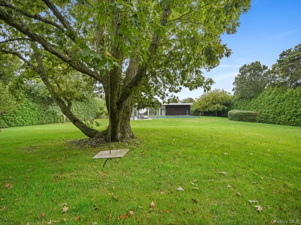 a view of a garden with trees