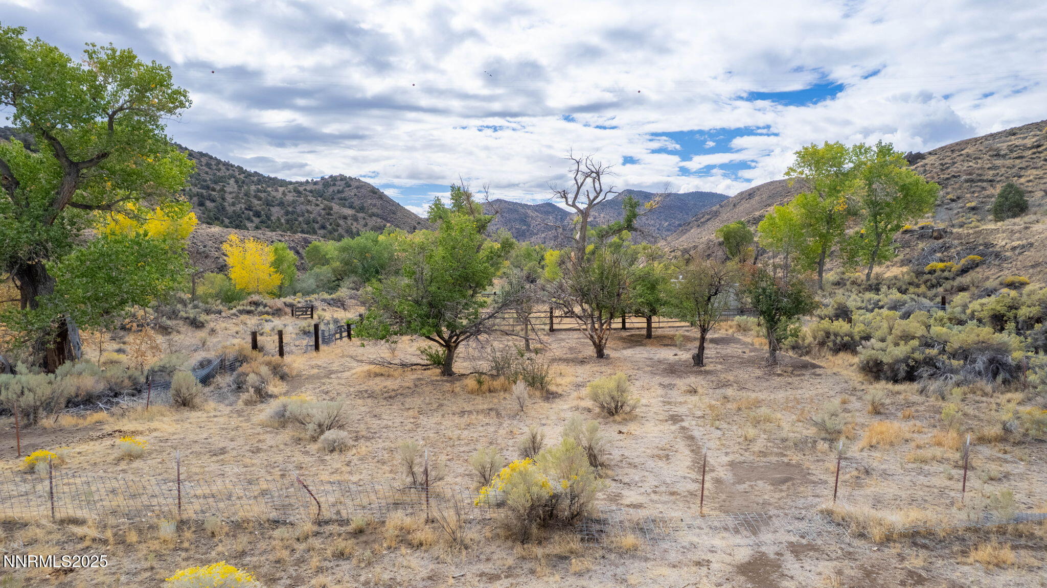 77 Ophir Mill Road Dayton, NV 89403 - Photo 33 of 44 a view of a dry yard with lots of trees