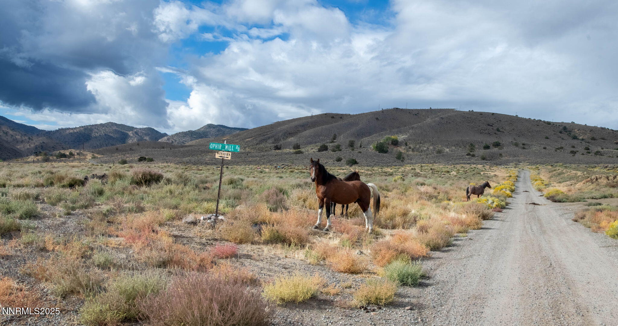 77 Ophir Mill Road Dayton, NV 89403 - Photo 5 of 44 a view of a sky