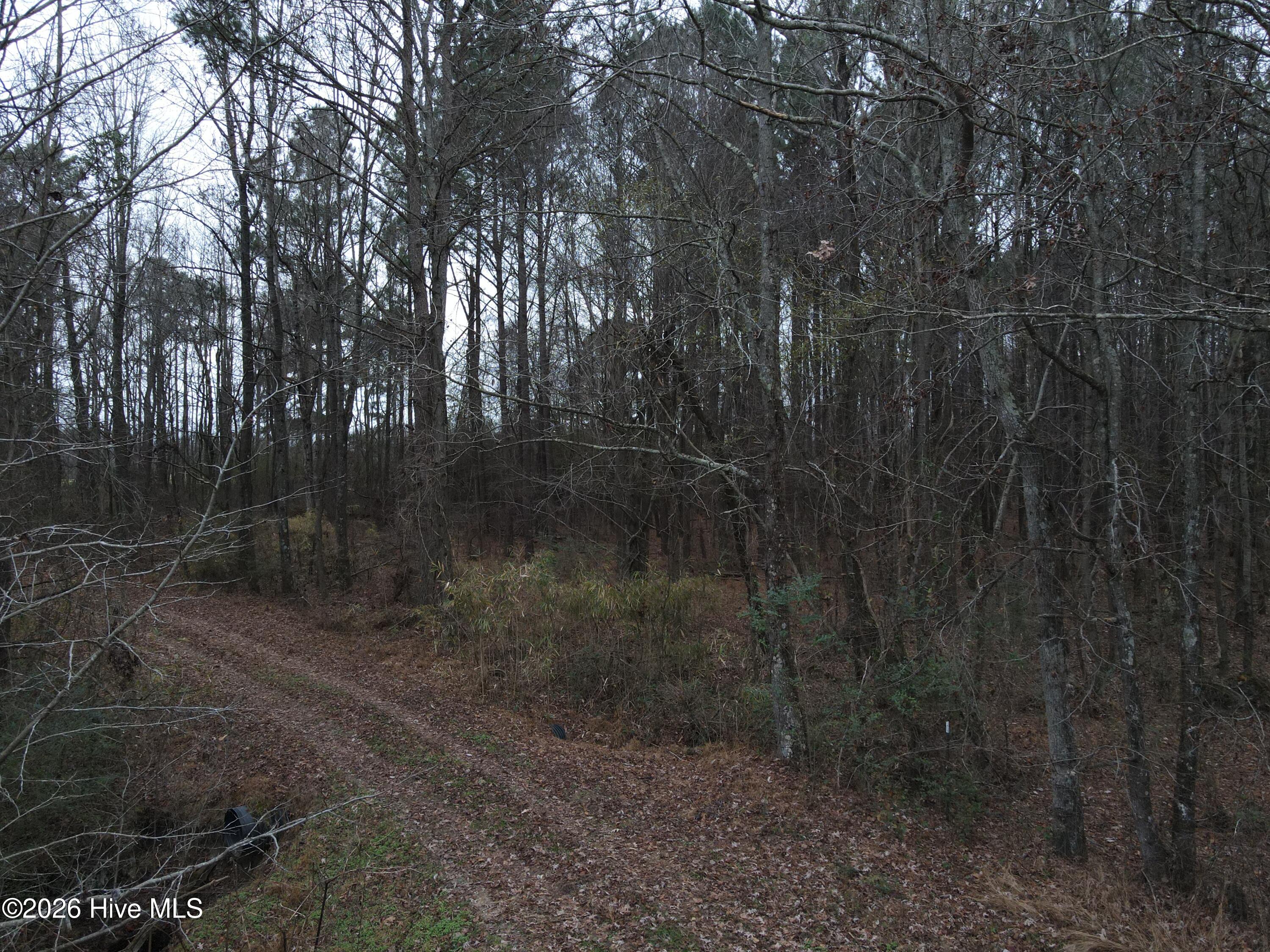 8201 Cedar Grove School Loop Road Nashville, NC 27856 - Photo 37 of 68 CG MLS 37
