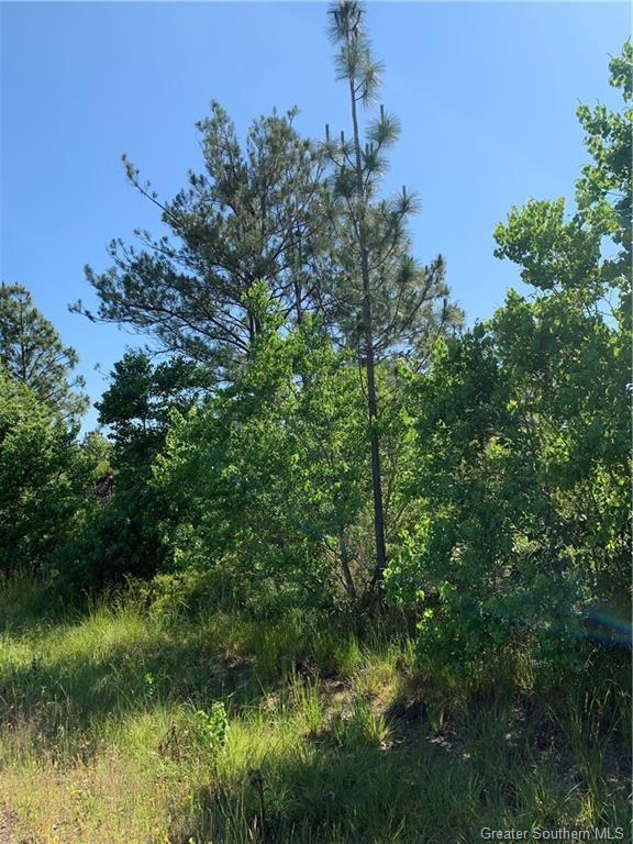 0 113th Highway Reeves, LA 70658 - Photo 3 of 3