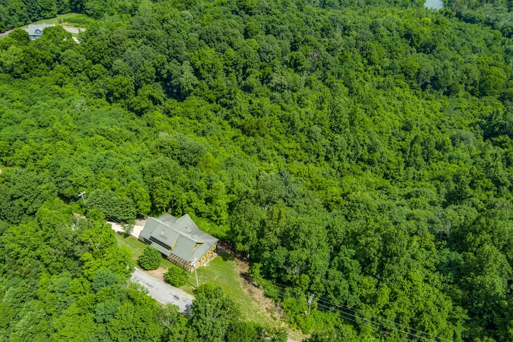 4723 Coconut Ridge Road Smithville, TN 37166 - Photo 54 of 59 Gallery Image 54