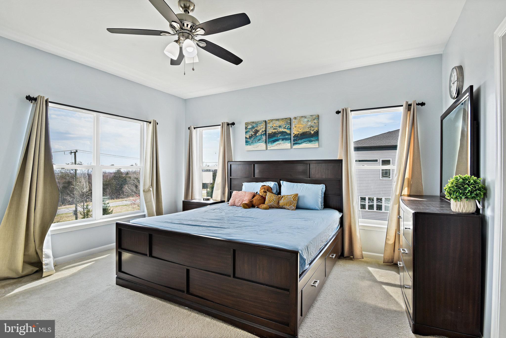 42657 Aden Terrace Ashburn, VA 20148 - Photo 22 of 37 Master Bedroom with Carpet