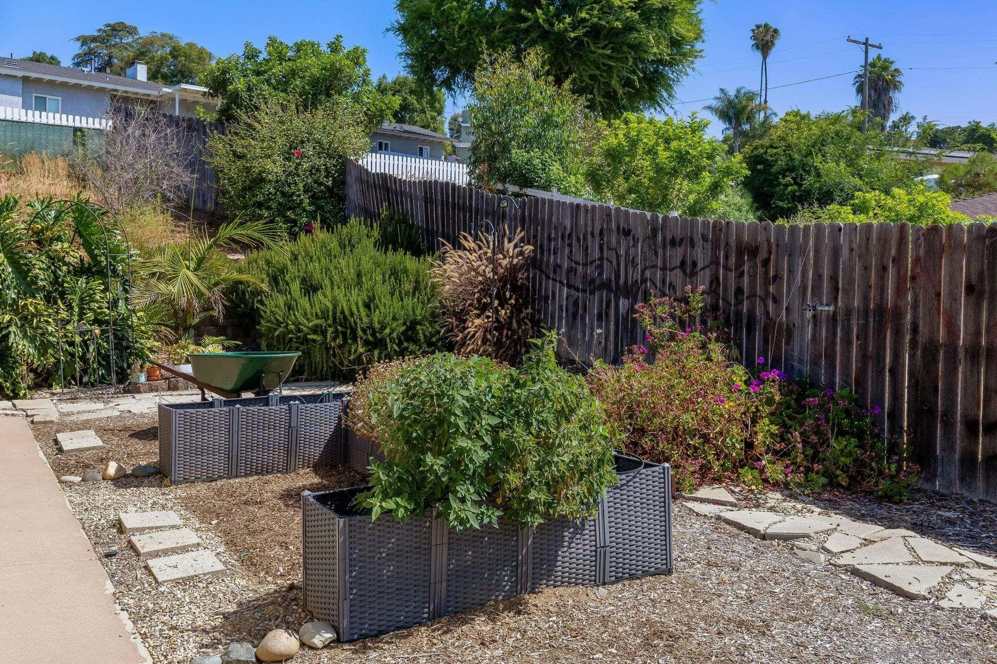 244 Avalon Drive Vista, CA 92084 - Photo 17 of 23 a view of garden with plants