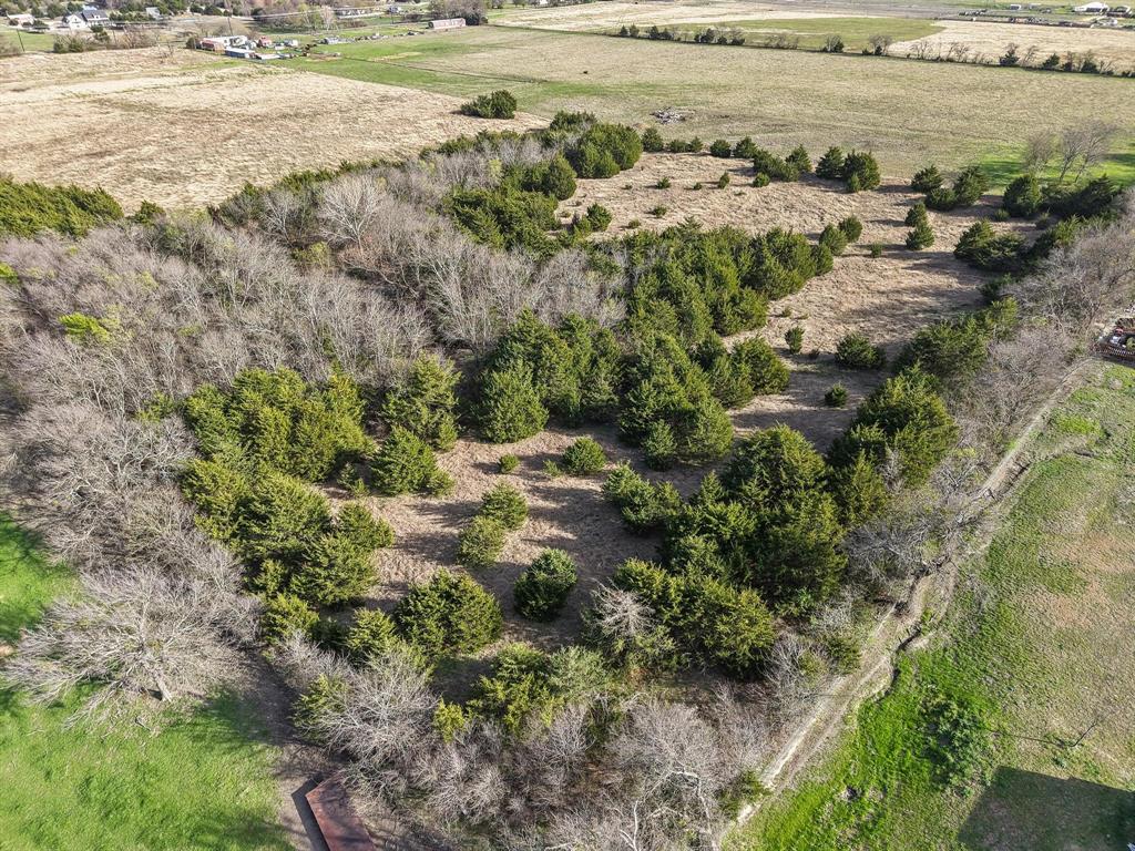 9421 County Road 626 Blue Ridge, TX 75424 - Photo 9 of 13