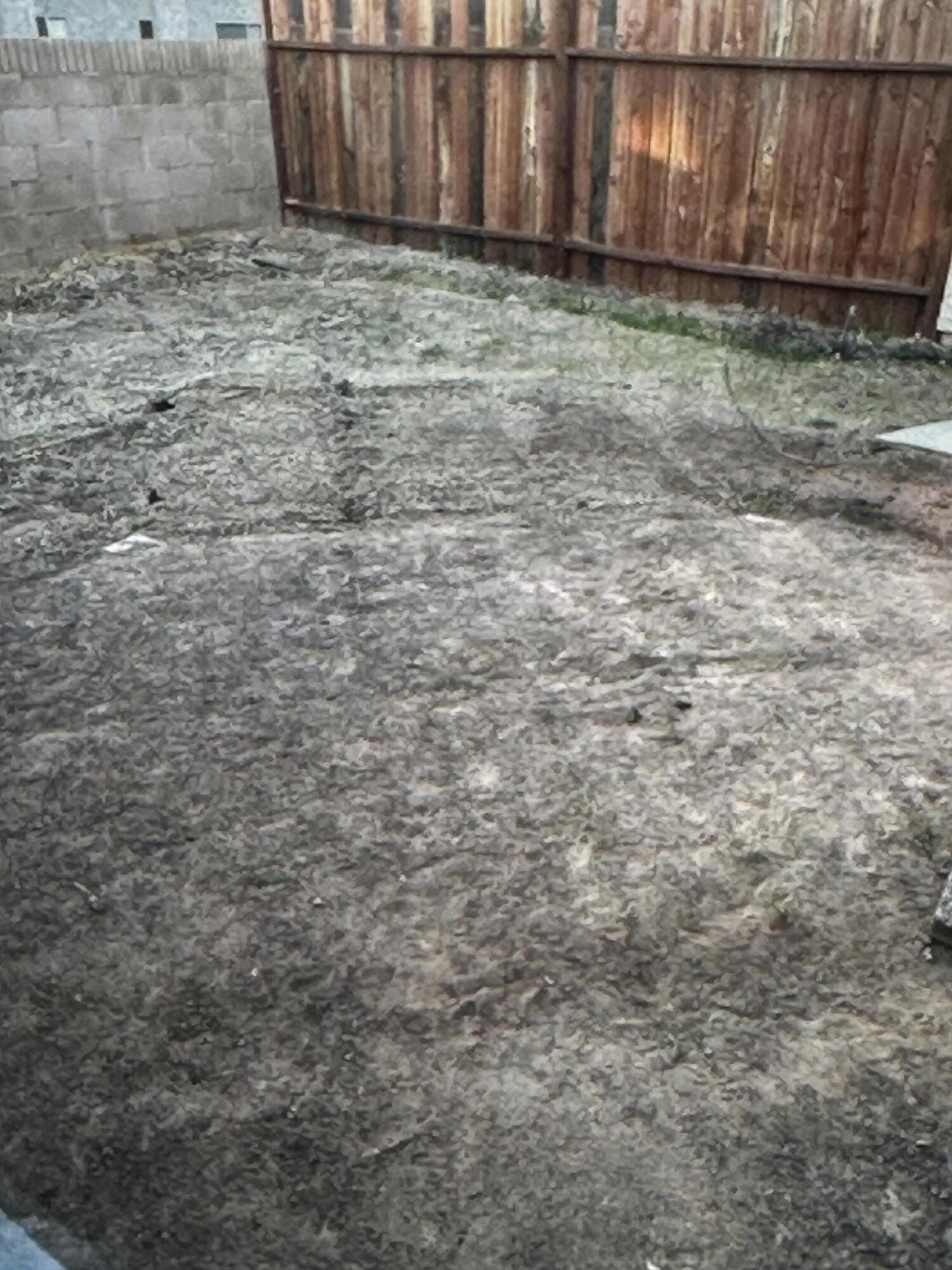 2943 East Ave R-2 Palmdale, CA 93550 - Photo 12 of 14 IMG_6337
