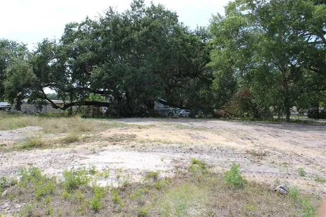 a view of backyard with green space