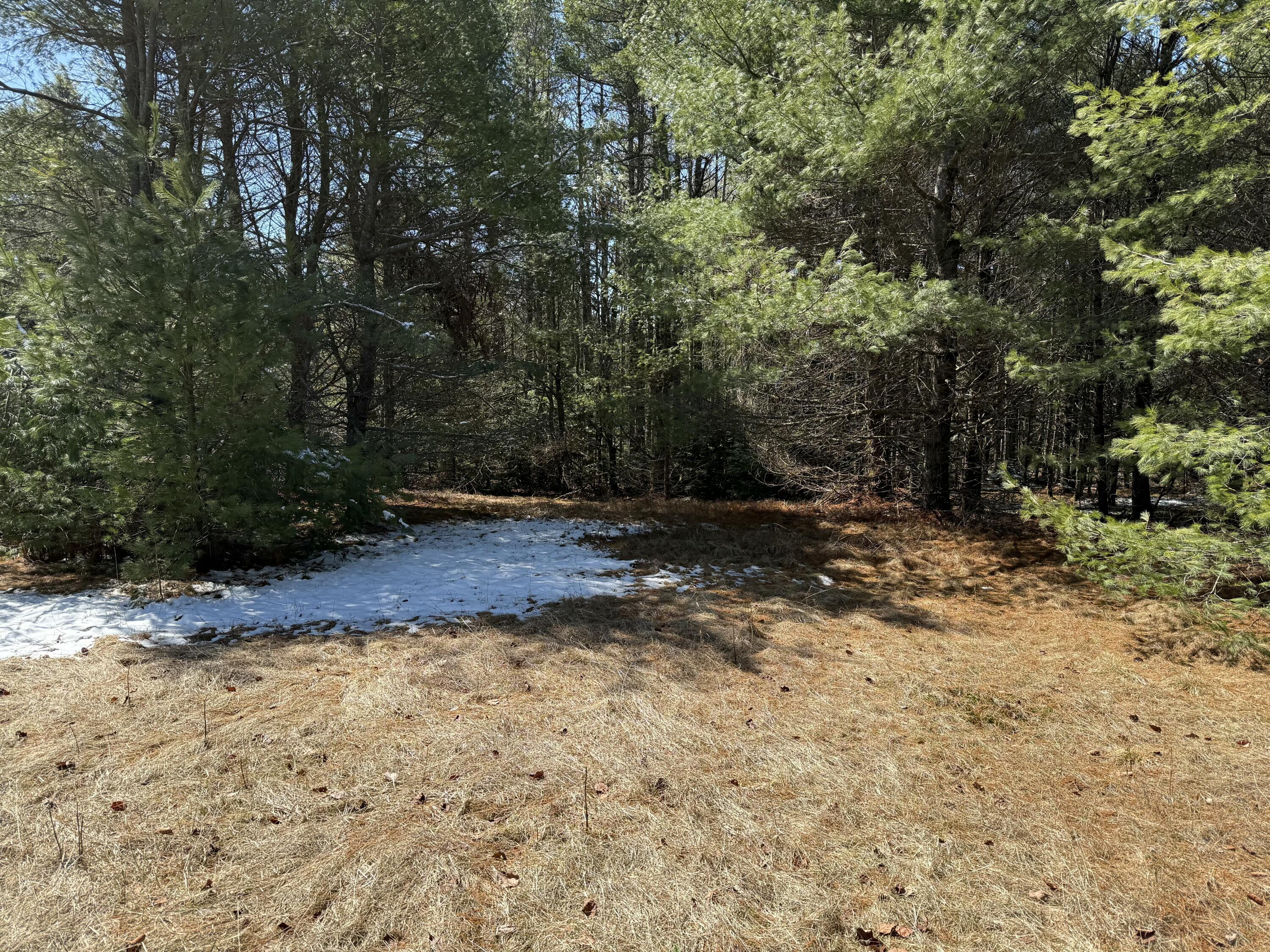 0 Rt 176 East Blue Hill Road Blue Hill, ME 04614 - Photo 6 of 12 tempImage3O4a8t