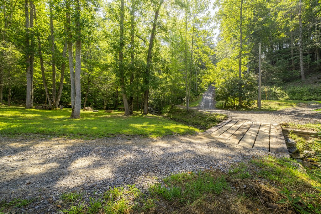 60 Buckeye Branch Road Morganton, GA 30560 - Photo 11 of 54