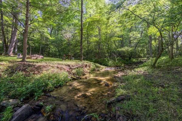 $1,699,000 | 60 Buckeye Branch Road, Morganton, GA 30560