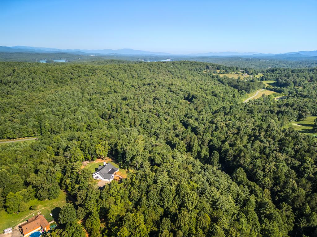 60 Buckeye Branch Road Morganton, GA 30560 - Photo 50 of 54 a view of a green field with lots of bushes