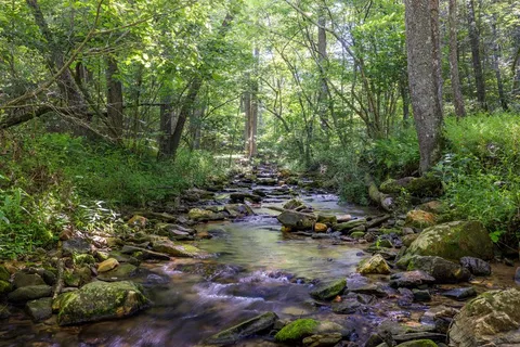 $1,699,000 | 60 Buckeye Branch Road, Morganton, GA 30560