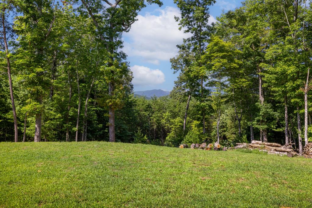 60 Buckeye Branch Road Morganton, GA 30560 - Photo 54 of 54 a view of backyard with green space
