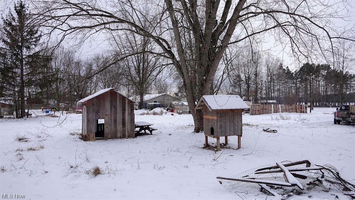 9606 Durst Colebrook Road North Bloomfield, OH 44450 - Photo 22 of 24 Yard covered in snow with a shed
