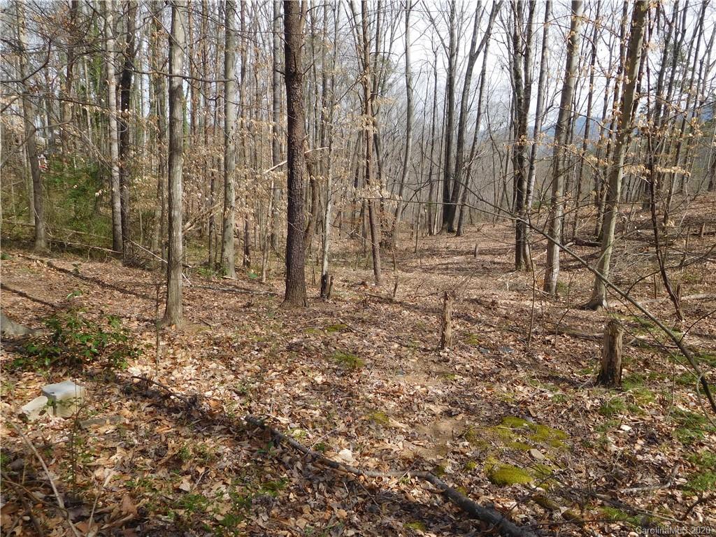 2231 Conley Road Morganton, NC 28655 - Photo 17 of 17 Gallery Image 17