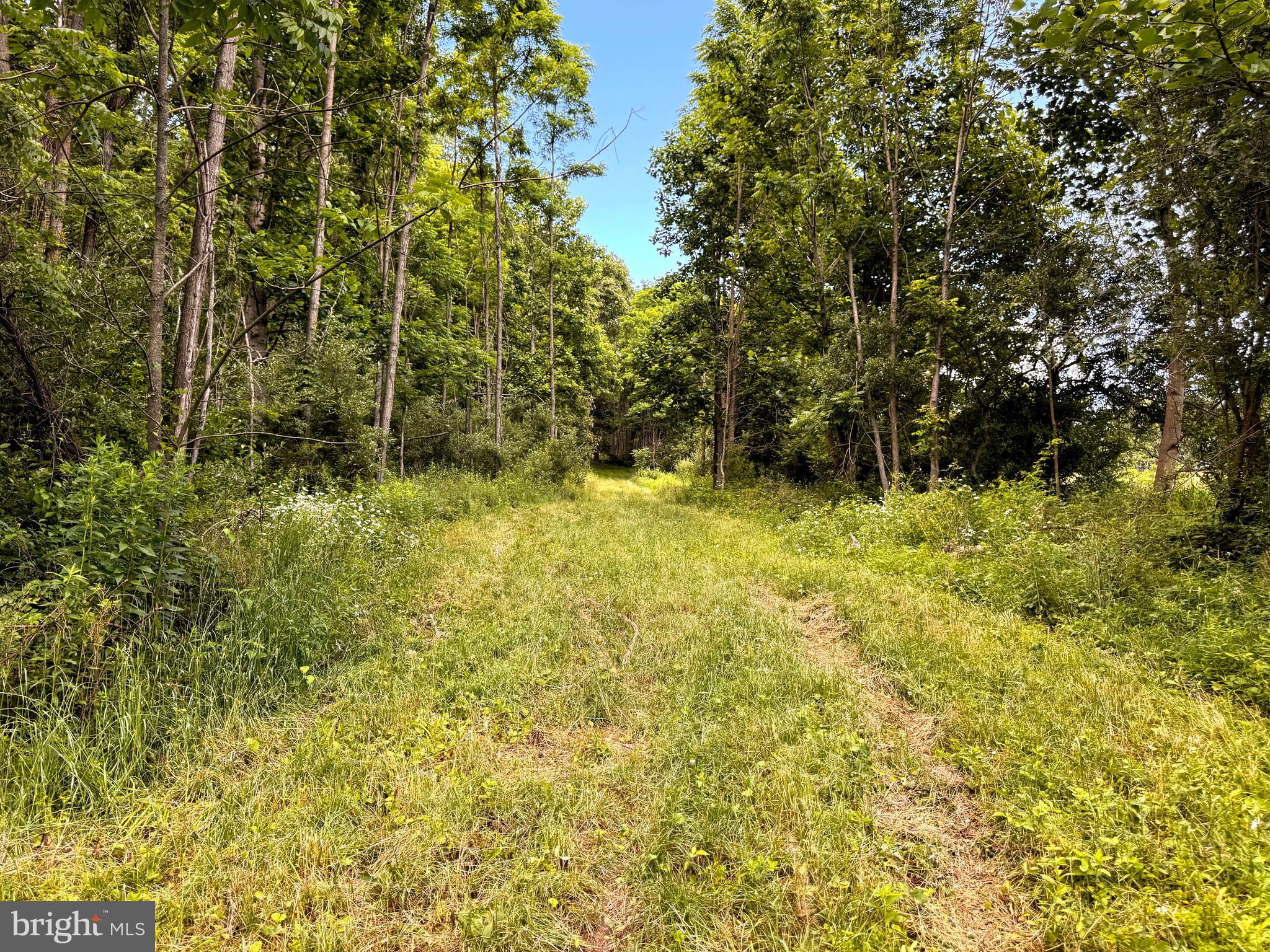 281 Whetstone Run Julian, PA 16844 - Photo 3 of 33
