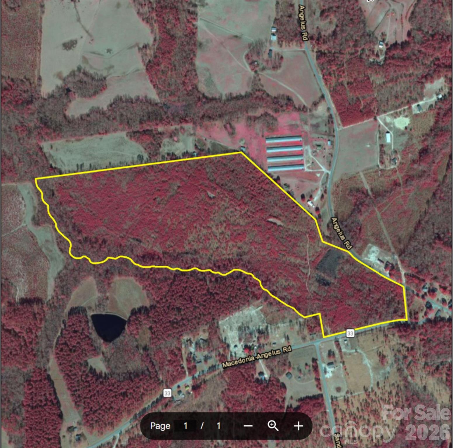2713 Macedonia-Angelus Road Jefferson, SC 29718 - Photo 23 of 23